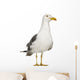 Herring Gull Seagull Wall Decal