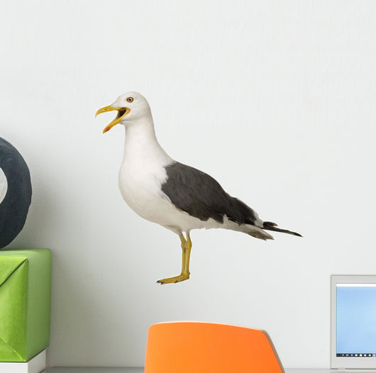 Herring Gull Screeching Wall Decal