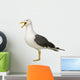 Herring Gull Screeching Wall Decal