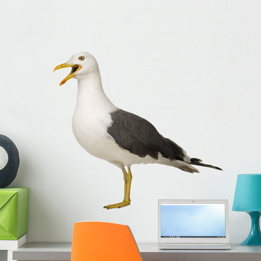Herring Gull Screeching Wall Decal