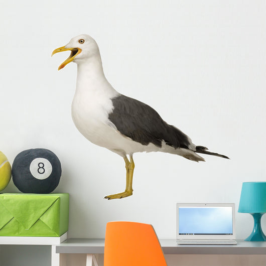 Herring Gull Screeching Wall Decal