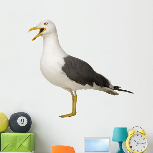 Herring Gull Screeching Wall Decal