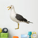Herring Gull Screeching Wall Decal
