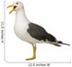 Herring Gull Screeching Wall Decal