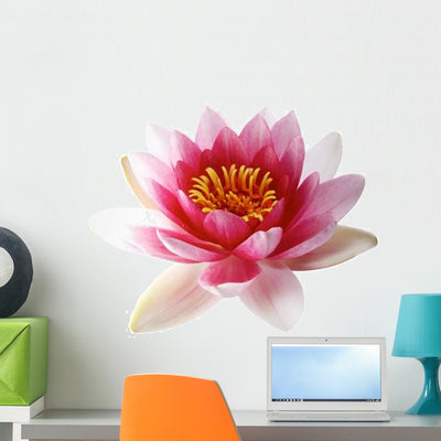 Lotus or Water Lily Wall Decal shown on a wall