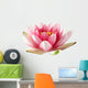 Open Lotus Waterlily Wall Decal