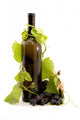 Bottle of Wine and Grapes Studio Wall Decal