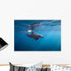 Surface Dolphin Wall Decal