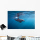 Surface Dolphin Wall Decal