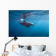 Surface Dolphin Wall Decal