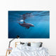 Surface Dolphin Wall Decal