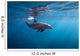 Surface Dolphin Wall Decal