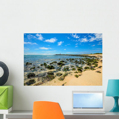 Beach Punta Carola Galapagos Wall Decal shown on a wall