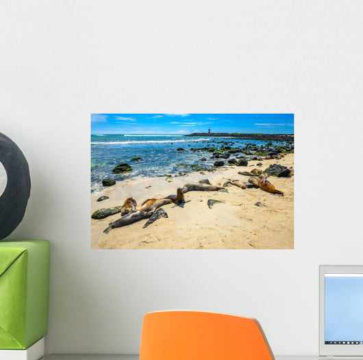 Basking Fur Seals Punta Carola Wall Decal