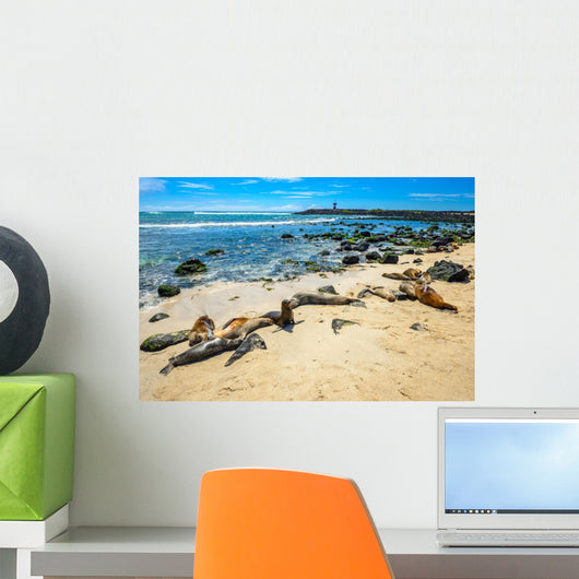 Basking Fur Seals Punta Carola Wall Decal