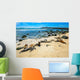 Basking Fur Seals Punta Carola Wall Decal
