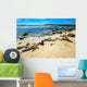 Basking Fur Seals Punta Carola Wall Decal