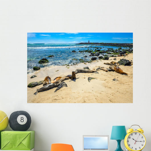 Basking Fur Seals Punta Carola Wall Decal