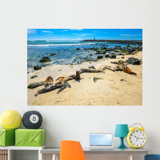 Basking Fur Seals Punta Carola Wall Decal