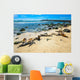 Basking Fur Seals Punta Carola Wall Decal