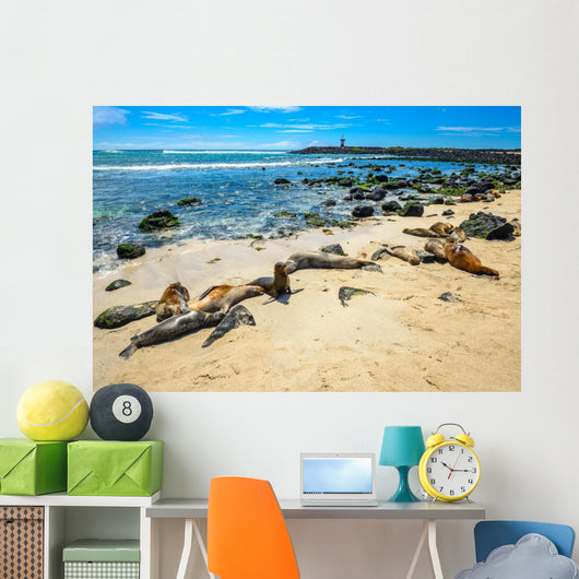 Basking Fur Seals Punta Carola Wall Decal