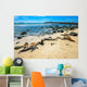 Basking Fur Seals Punta Carola Wall Decal