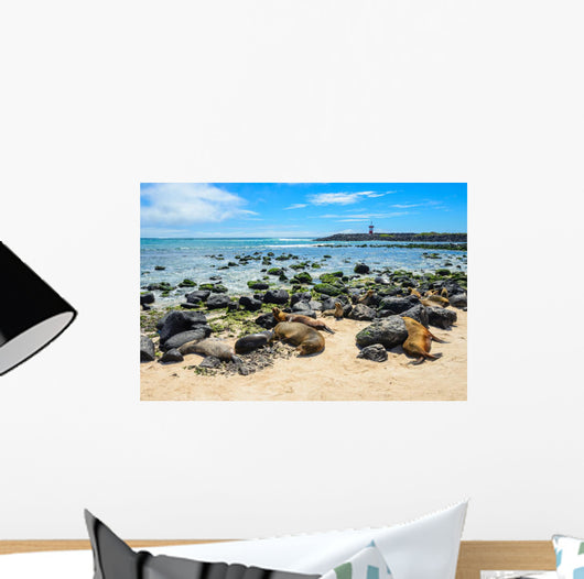 Fur Seals Punta Carola Wall Decal