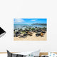 Fur Seals Punta Carola Wall Decal