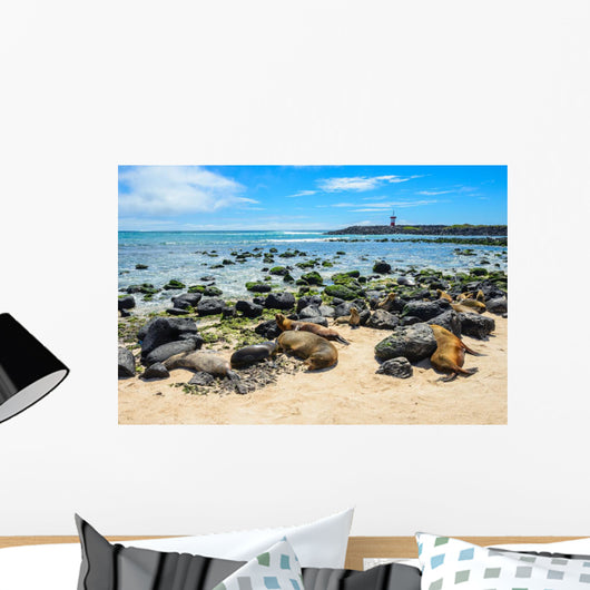 Fur Seals Punta Carola Wall Decal