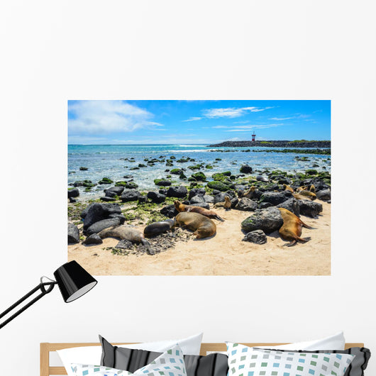 Fur Seals Punta Carola Wall Decal