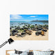 Fur Seals Punta Carola Wall Decal