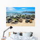 Fur Seals Punta Carola Wall Decal