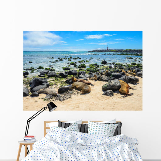Fur Seals Punta Carola Wall Decal