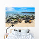 Fur Seals Punta Carola Wall Decal