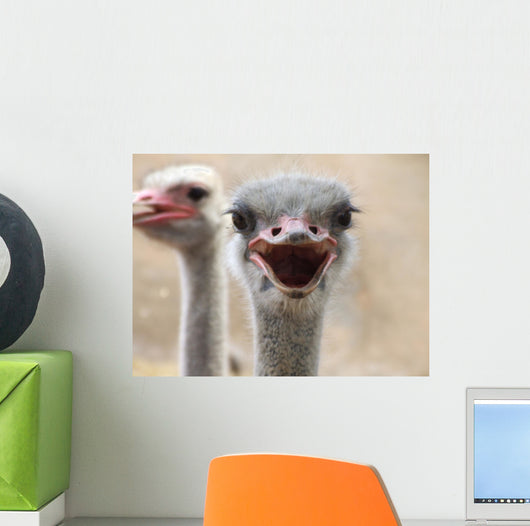 Hot Ostrich Wall Decal