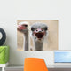 Hot Ostrich Wall Decal