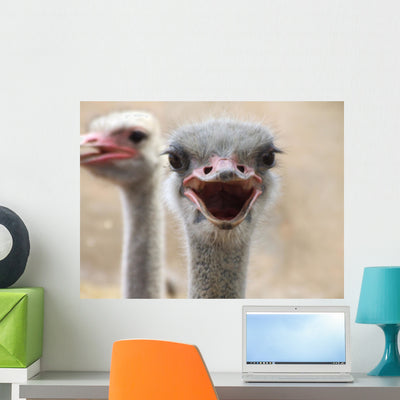 Hot Ostrich Wall Decal shown on a wall