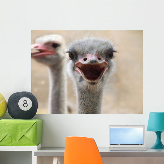 Hot Ostrich Wall Decal