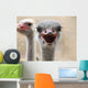 Hot Ostrich Wall Decal