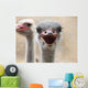 Hot Ostrich Wall Decal