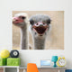 Hot Ostrich Wall Decal
