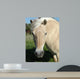 Norweger - Norwegian Fjord Horse Wall Decal