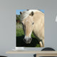 Norweger - Norwegian Fjord Horse Wall Decal