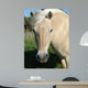 Norweger - Norwegian Fjord Horse Wall Decal
