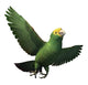 Double Yellow-headed Amazon Parrot Wall Decal