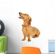 Dachshund Dog White Wall Decal