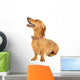 Dachshund Dog White Wall Decal