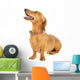 Dachshund Dog White Wall Decal
