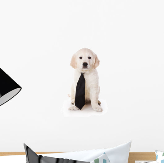 Golden Retriever Puppy White Wall Decal