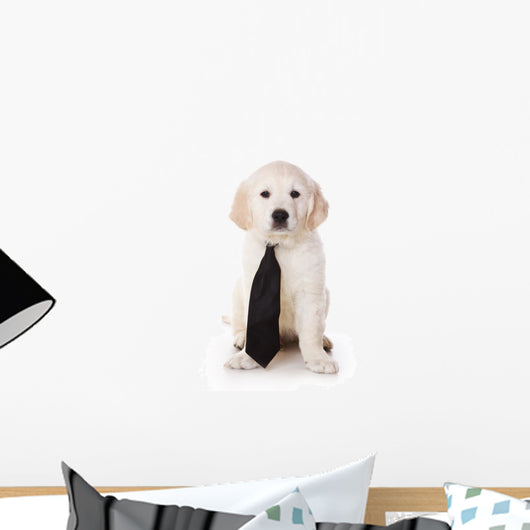 Golden Retriever Puppy White Wall Decal